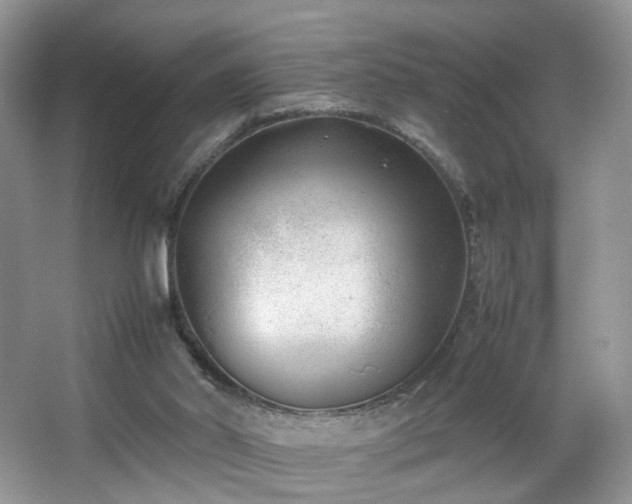 X0000066960014200603311435