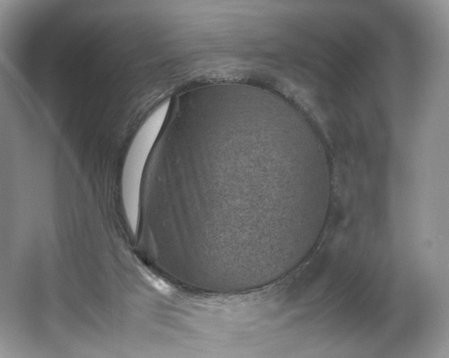 X0000066960017200603311435