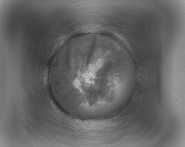 X0000066960018200603311435