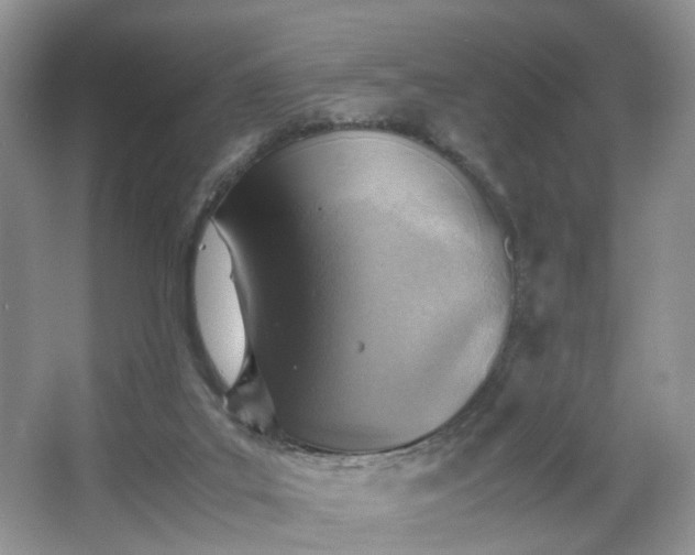 X0000066960019200603311435