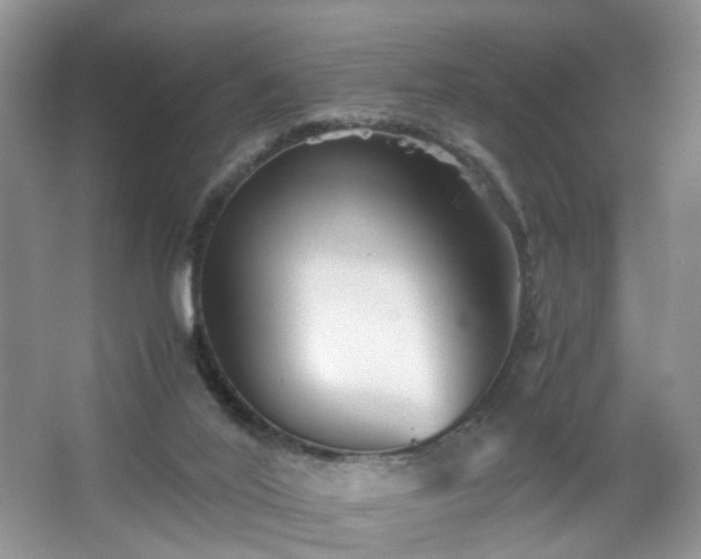 X0000066960020200603311435