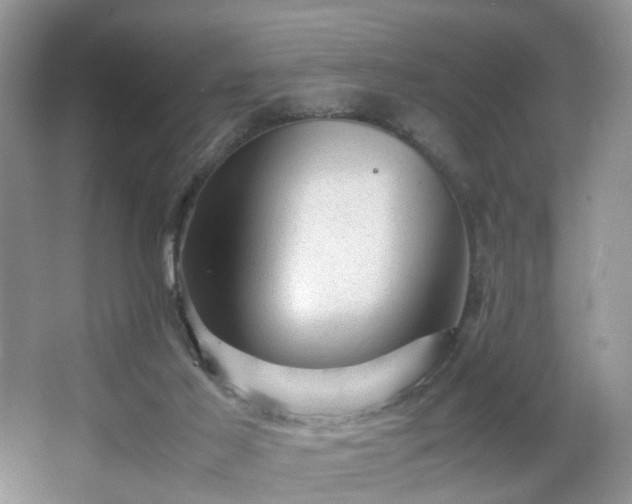 X0000066960021200603311435