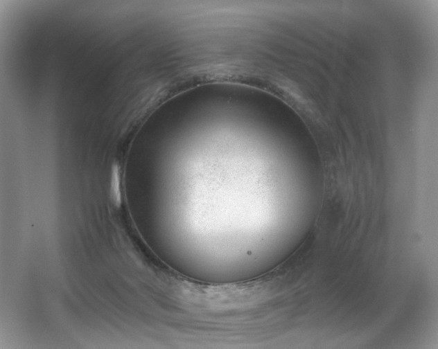 X0000066960022200603311435