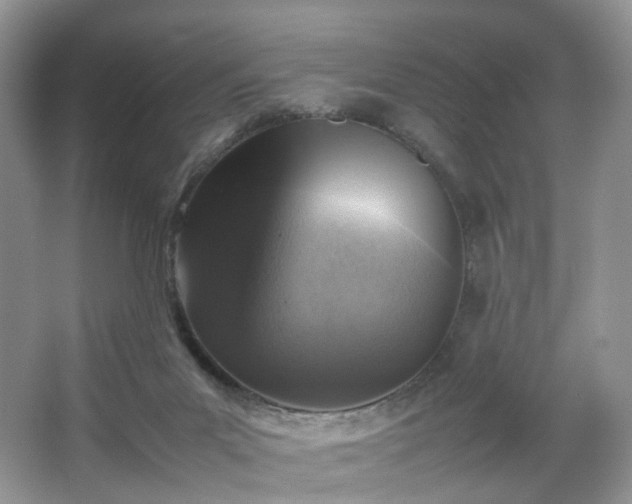 X0000066960023200603311435