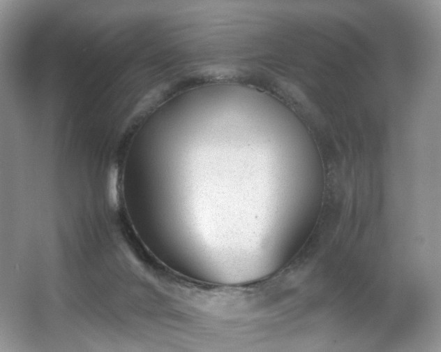 X0000066960024200603311435