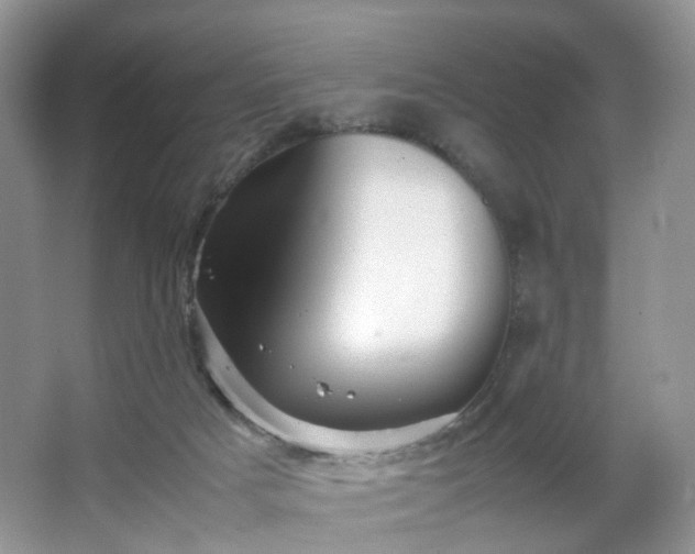 X0000066960025200603311435