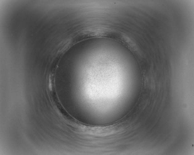 X0000066960026200603311435