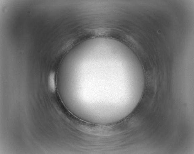 X0000066960028200603311435