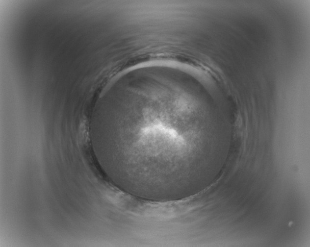 X0000066960029200603311435