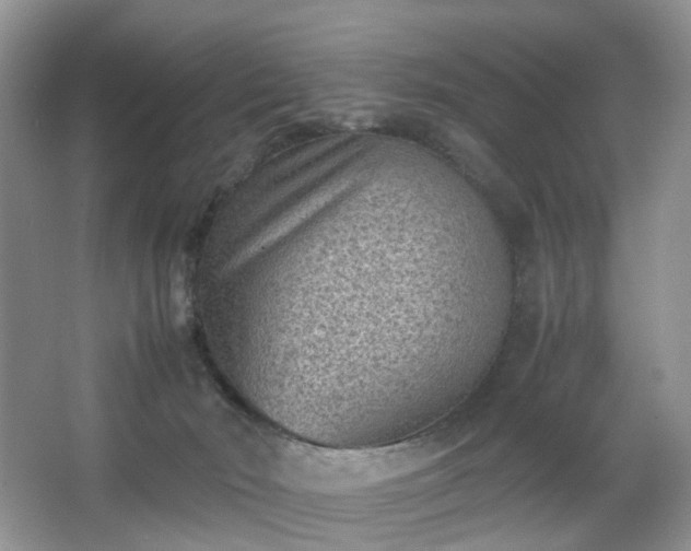 X0000066960030200603311435