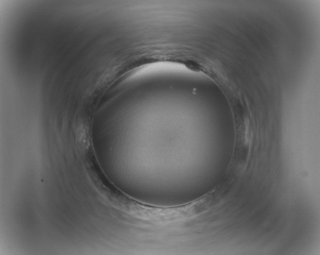 X0000066960031200603311435