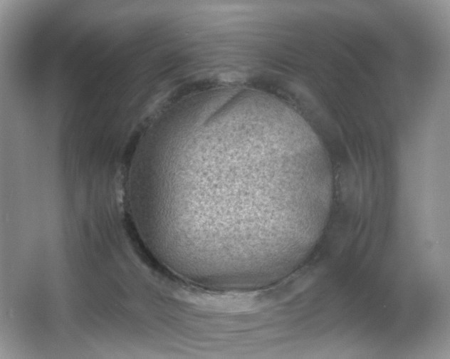 X0000066960032200603311435