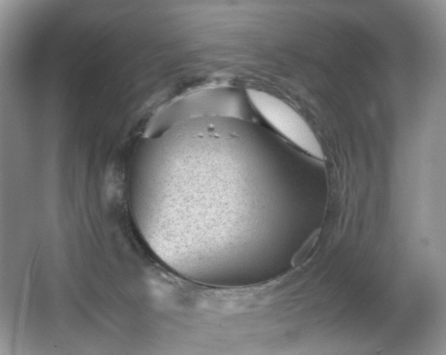 X0000066960033200603311435