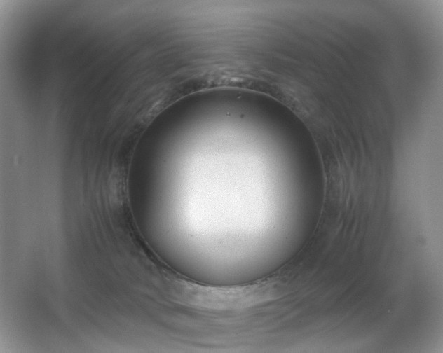 X0000066960034200603311435