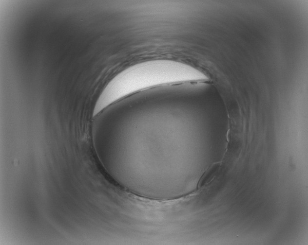 X0000066960035200603311435