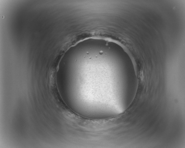 X0000066960037200603311435