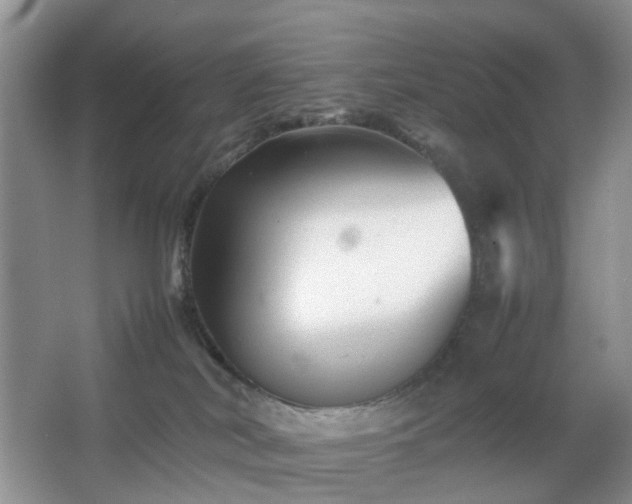 X0000066960038200603311435