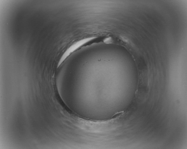 X0000066960039200603311435