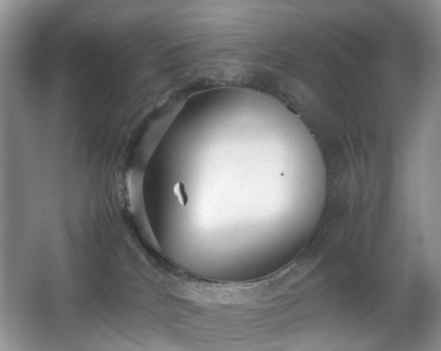 X0000066960040200603311435