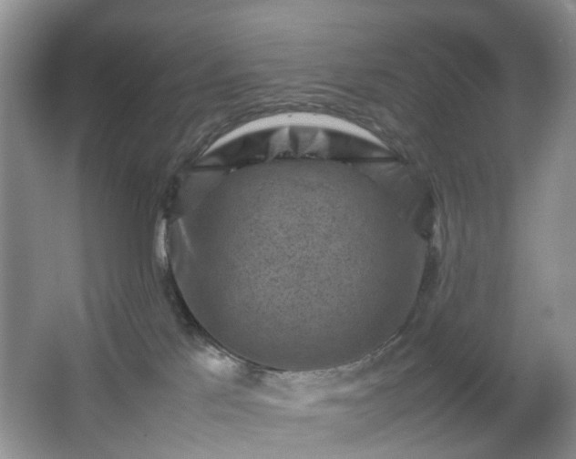 X0000066960041200603311435