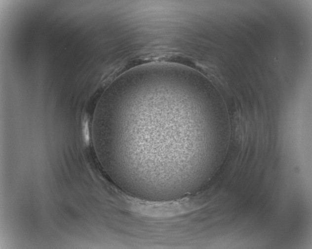 X0000066960042200603311434