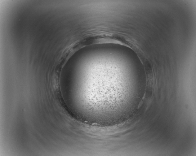 X0000066960043200603311434