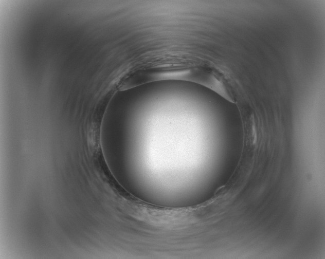 X0000066960044200603311434