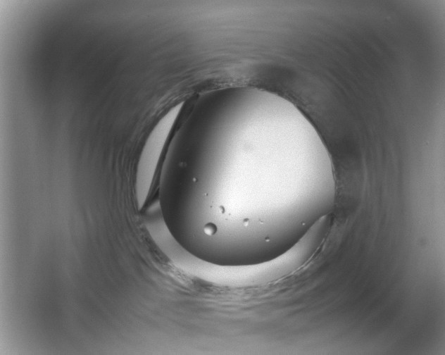 X0000066960045200603311434