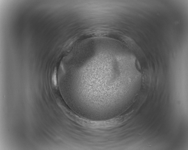 X0000066960046200603311434