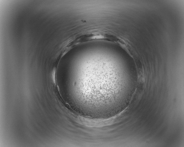 X0000066960047200603311434