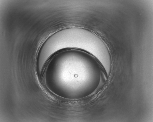 X0000066960049200603311434