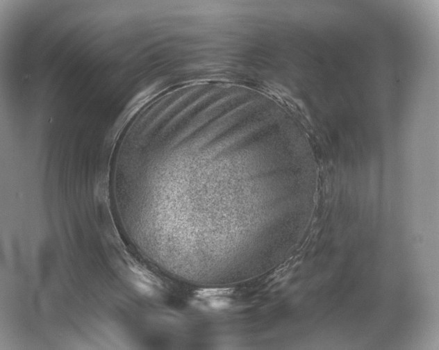 X0000066960051200603311434