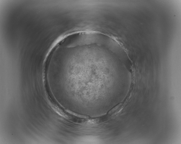 X0000066960056200603311434