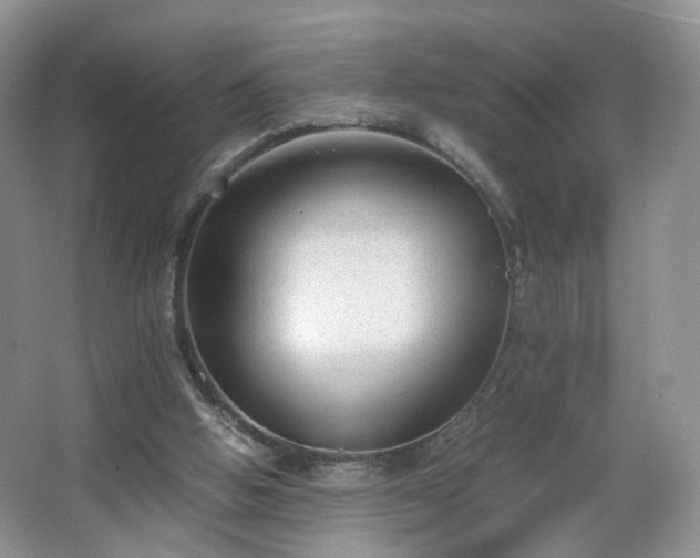 X0000066960058200603311434