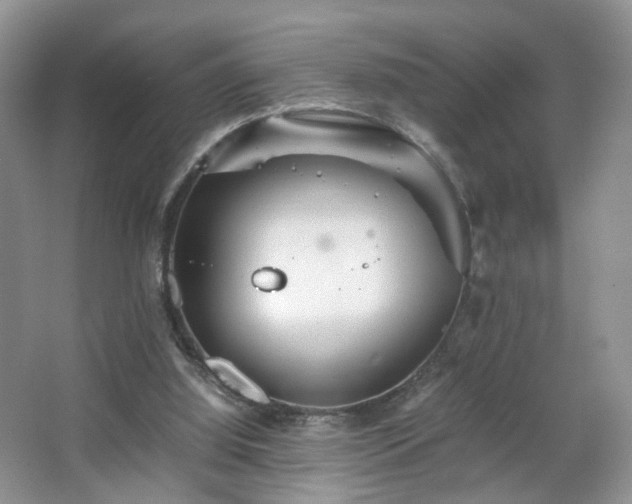 X0000066960060200603311434