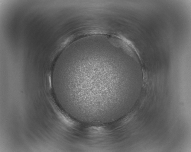 X0000066960061200603311434