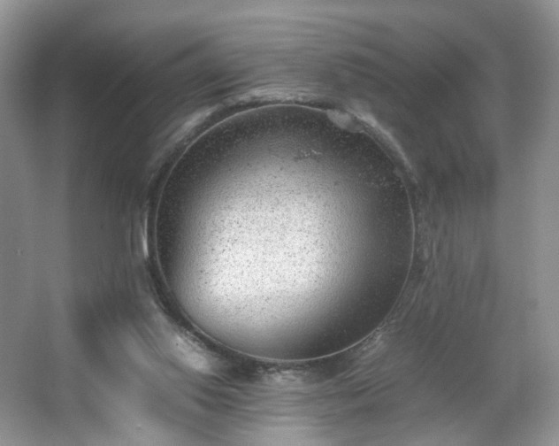 X0000066960062200603311434