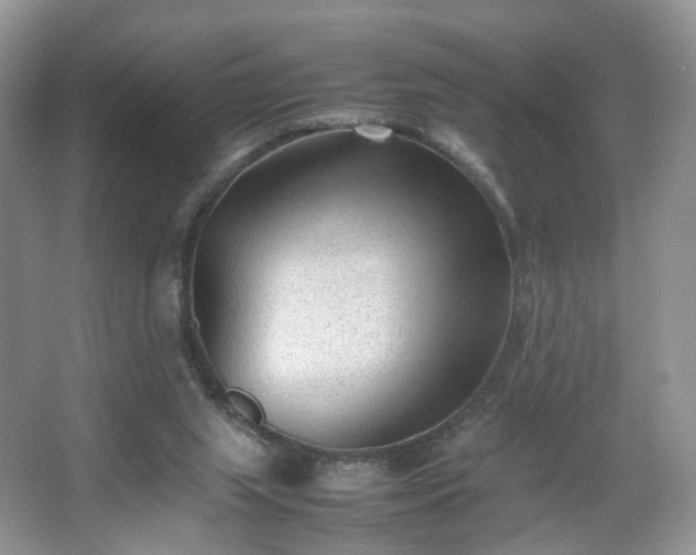 X0000066960063200603311434