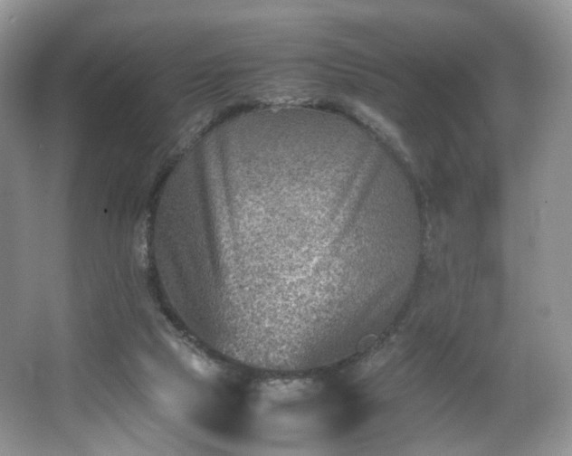 X0000066960065200603311434