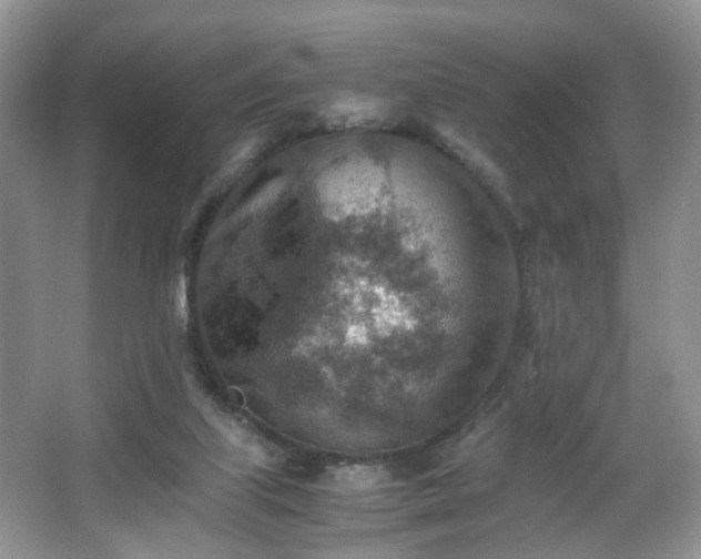 X0000066960067200603311434