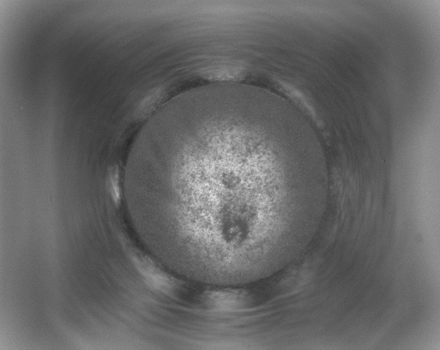 X0000066960069200603311434