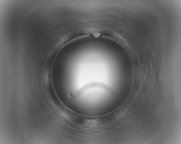 X0000066960071200603311434