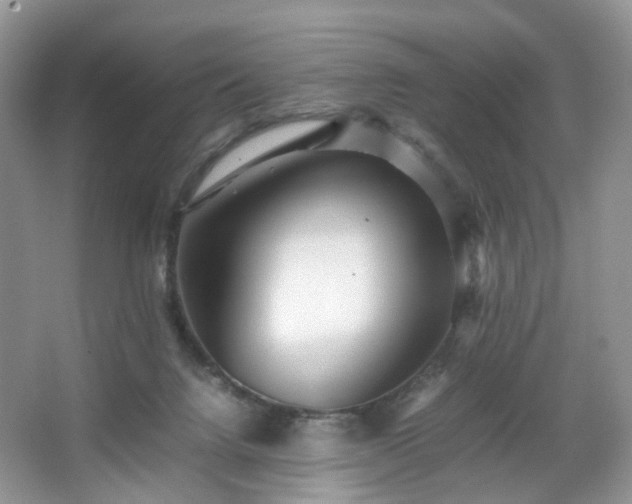 X0000066960072200603311434