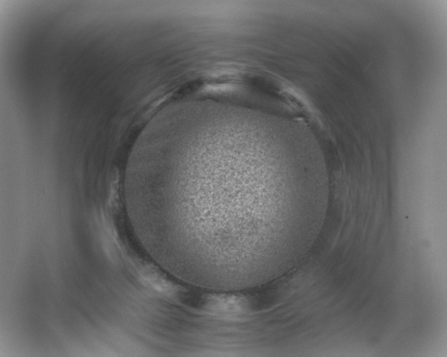 X0000066960073200603311434