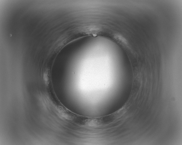 X0000066960074200603311434