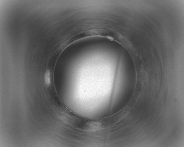 X0000066960075200603311434