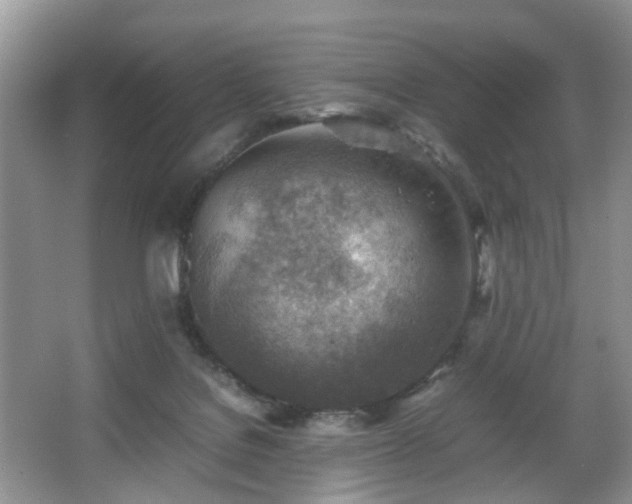 X0000066960076200603311434