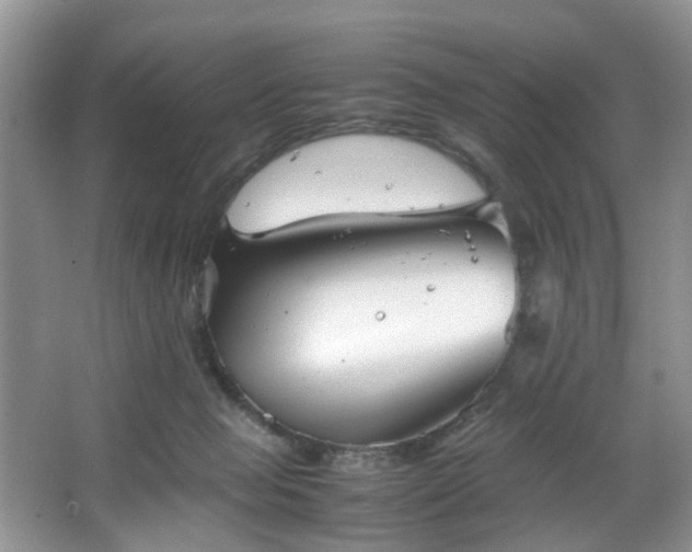 X0000066960077200603311434