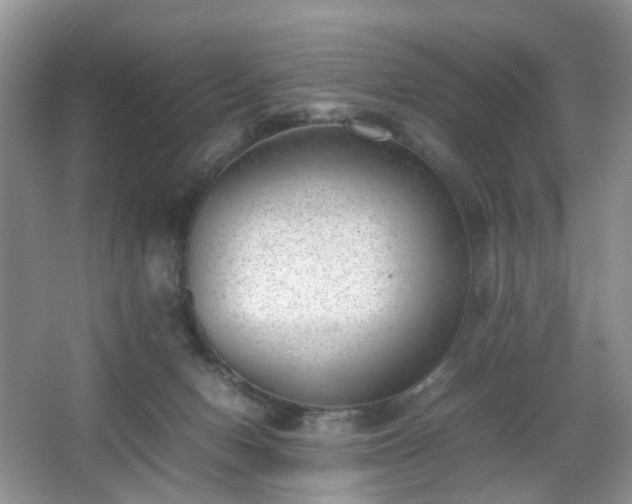 X0000066960078200603311434