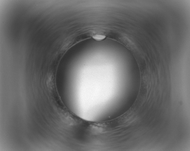 X0000066960079200603311434